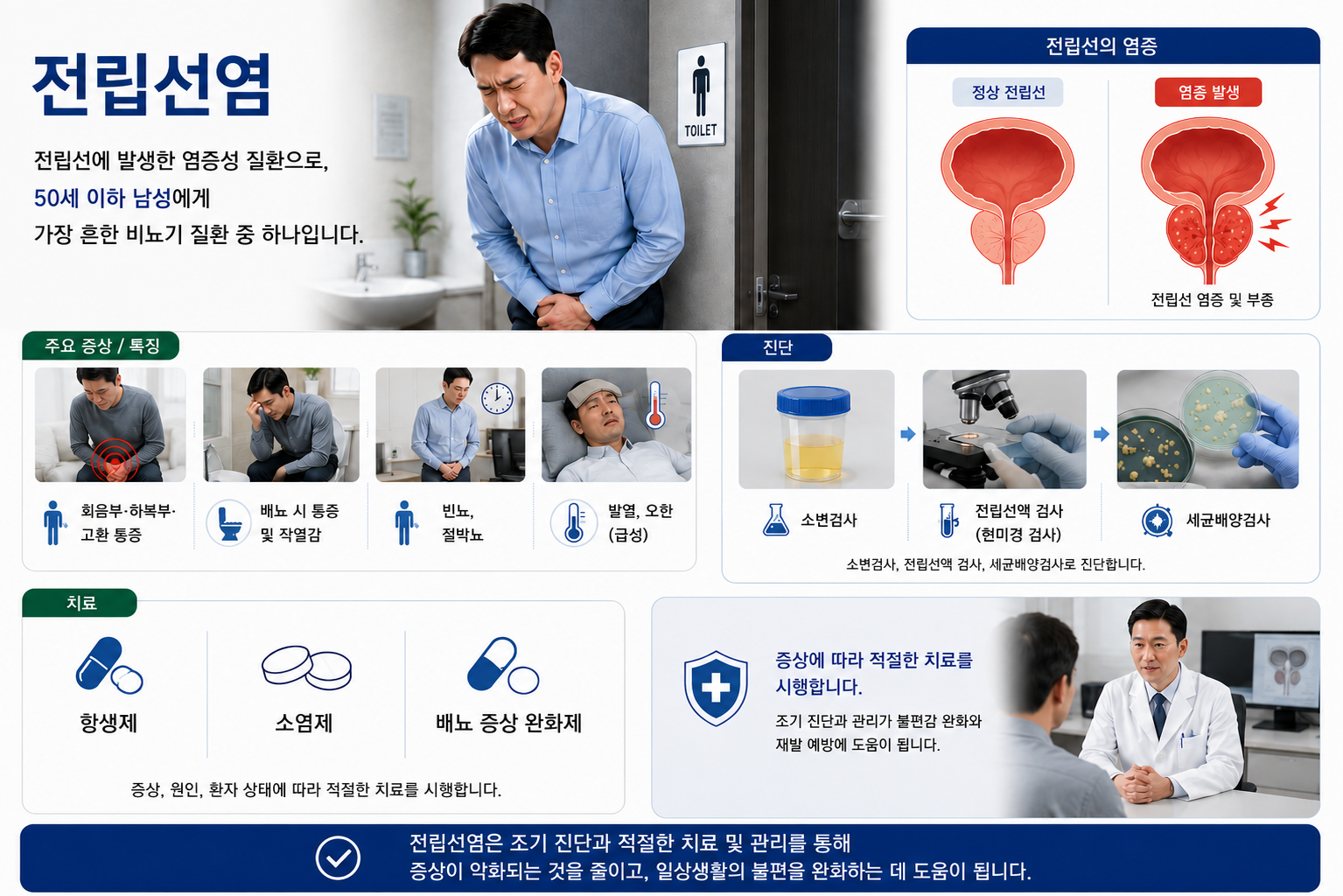전립선염 설명 일러스트